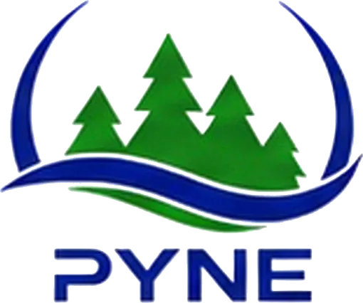 Pyne